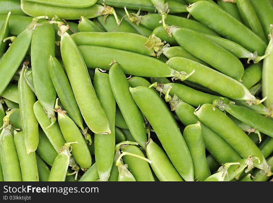 Close up of many picked peapods. Close up of many picked peapods