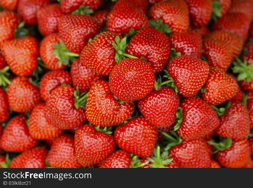 Close up of freshly picked ripe strawberries ready to eat.