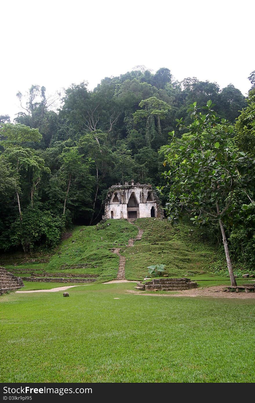 Palenque was an important city of the Maya