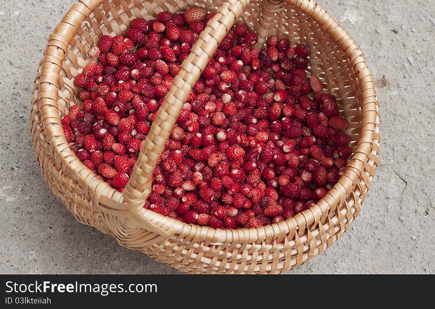 Wild strawberry in a basket. Wild strawberry in a basket