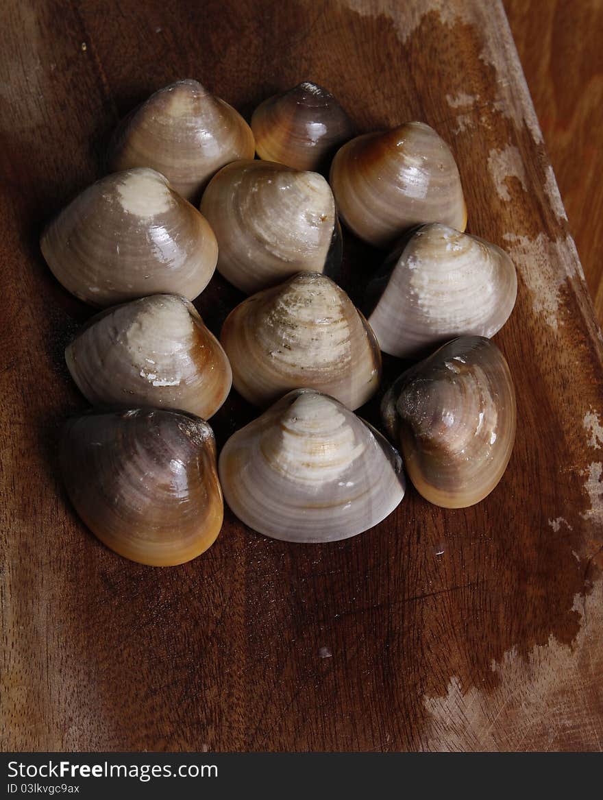 Raw Clams