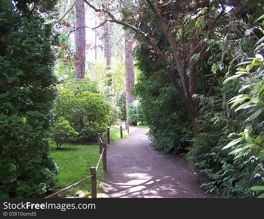 An illuminated pathway leading to the unknown.