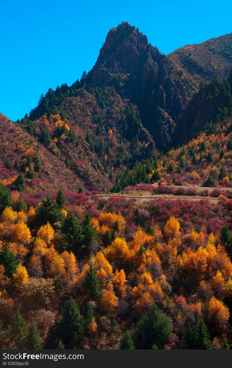 The beautiful scenery of plateau valley in autumn