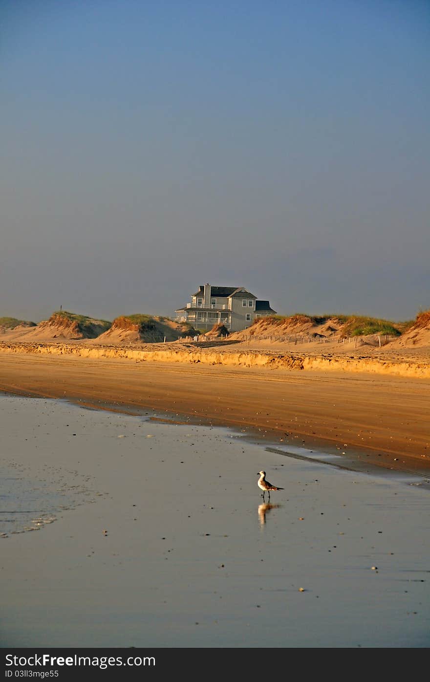 Coastal beach scene