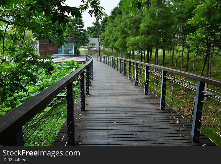 Wooden bridge with green trees