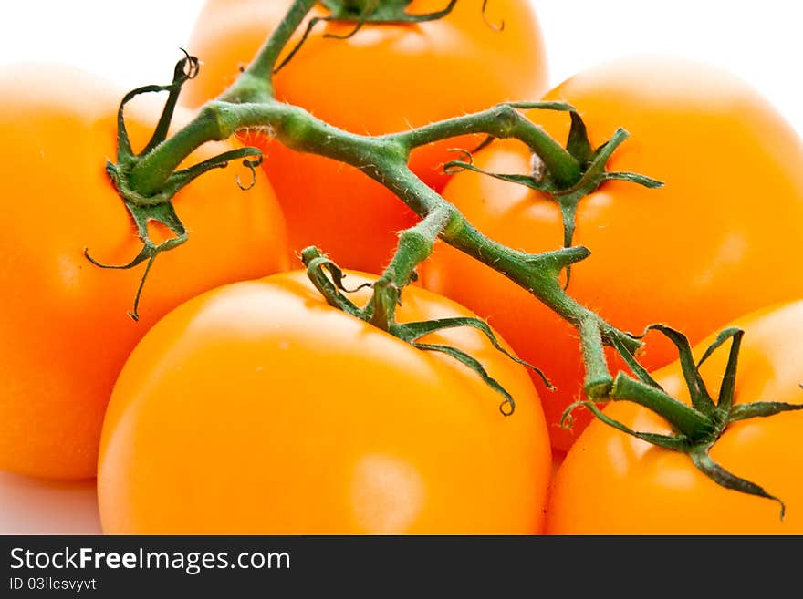 Close up on group of fresh yellow tomatoes isolated on white background. Close up on group of fresh yellow tomatoes isolated on white background