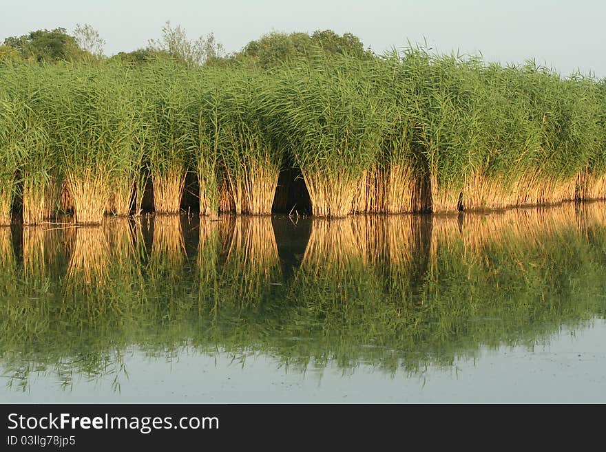 Reflections on a small river before sunset. Reflections on a small river before sunset