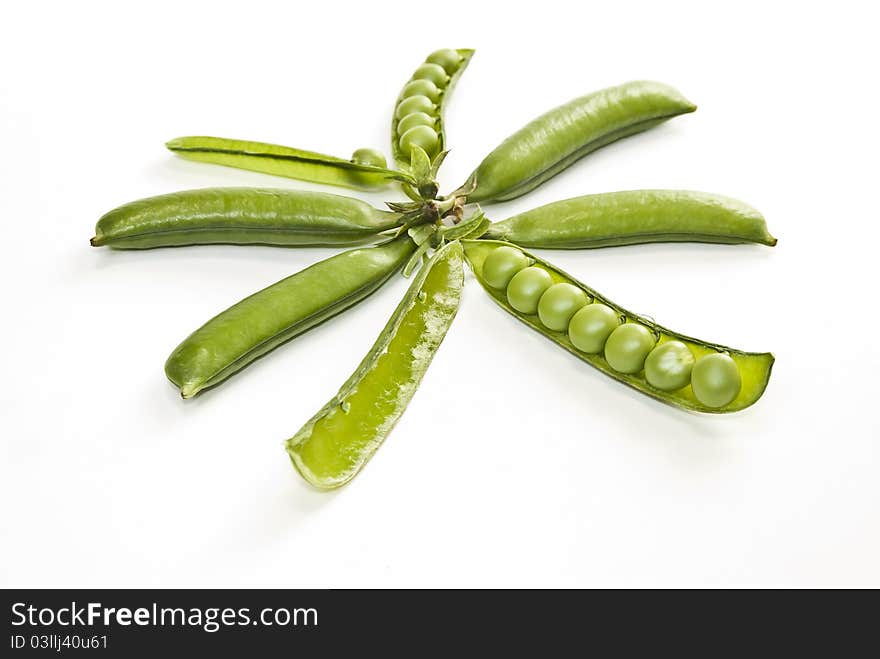 Abstract composition from the pods of green peas. Abstract composition from the pods of green peas.