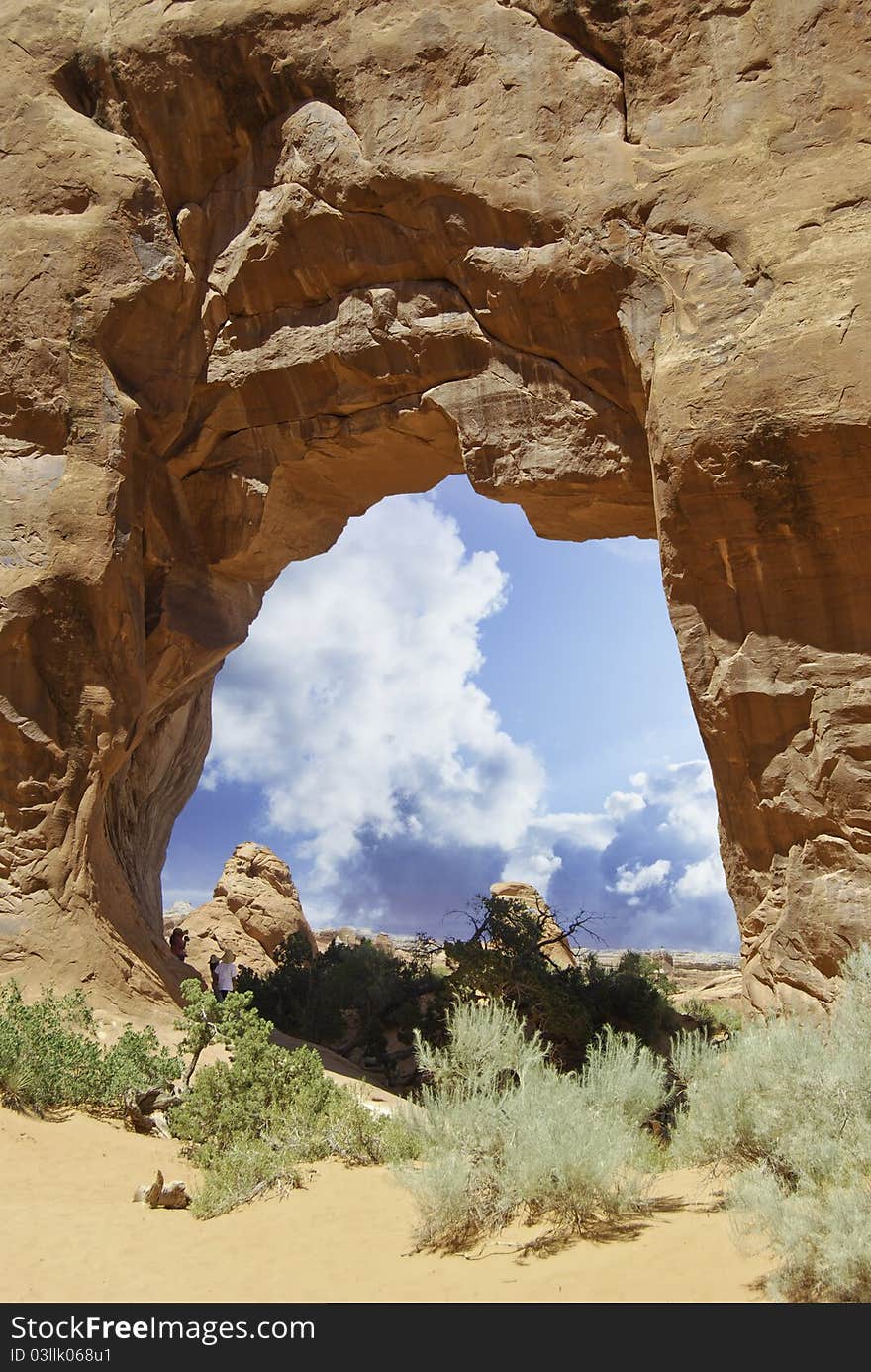 Nature Of Arches National Park