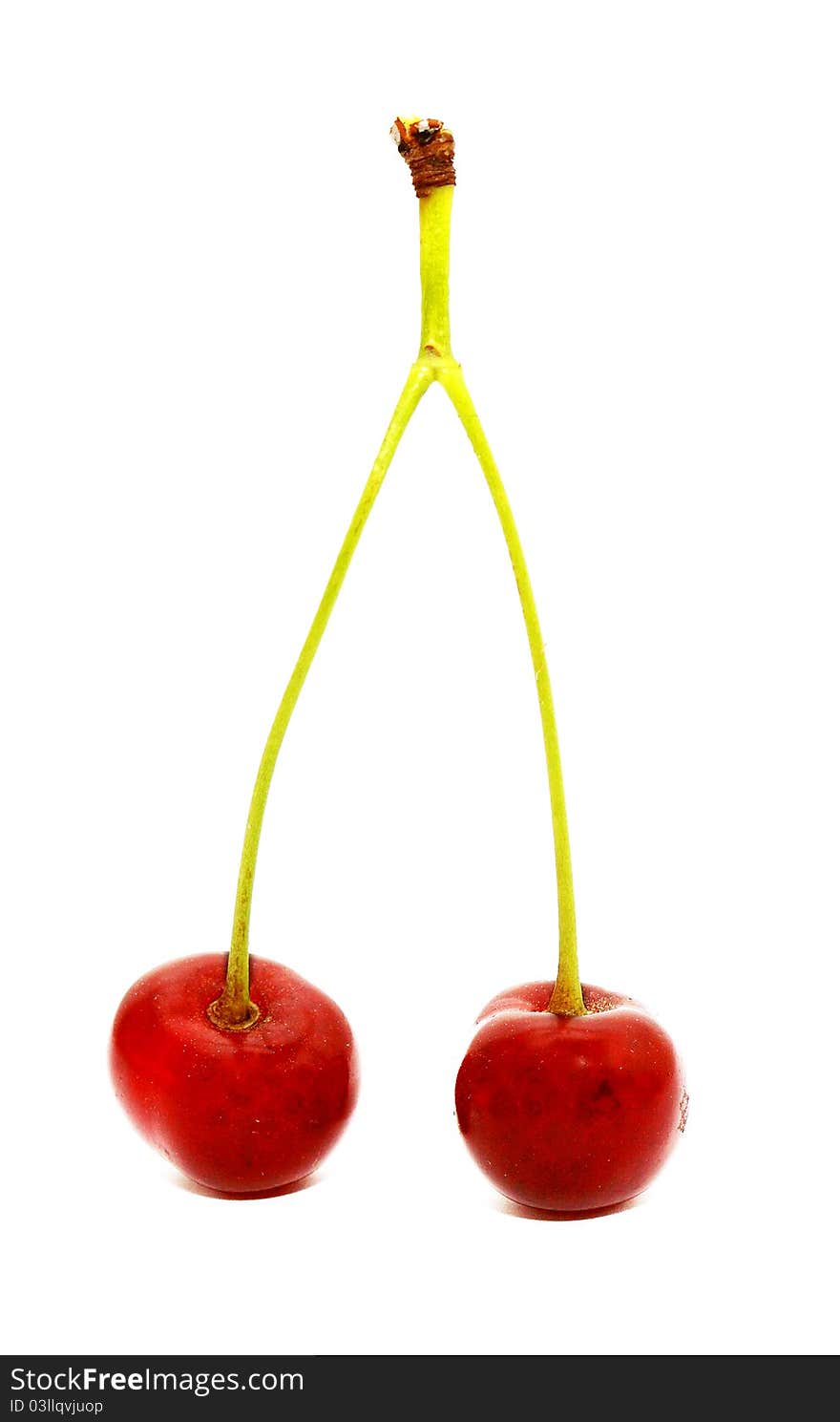 Cherries