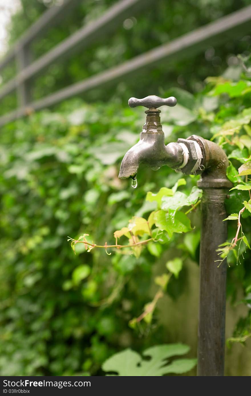 A drip of water fall from the tap