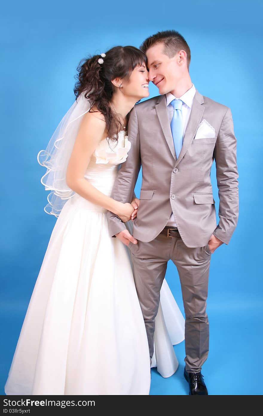 The bride and groom on a blue background