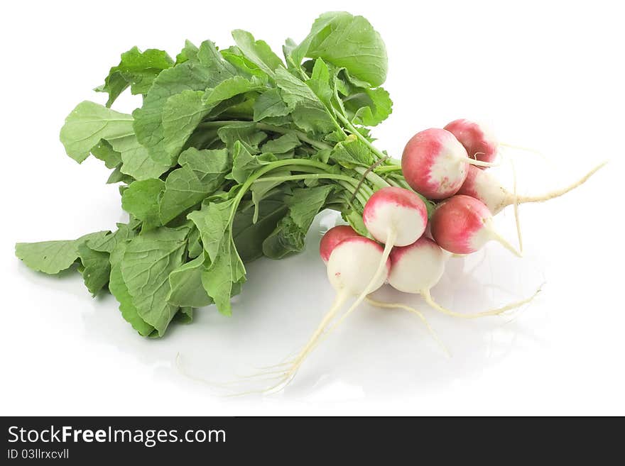 Fresh radishes isolated