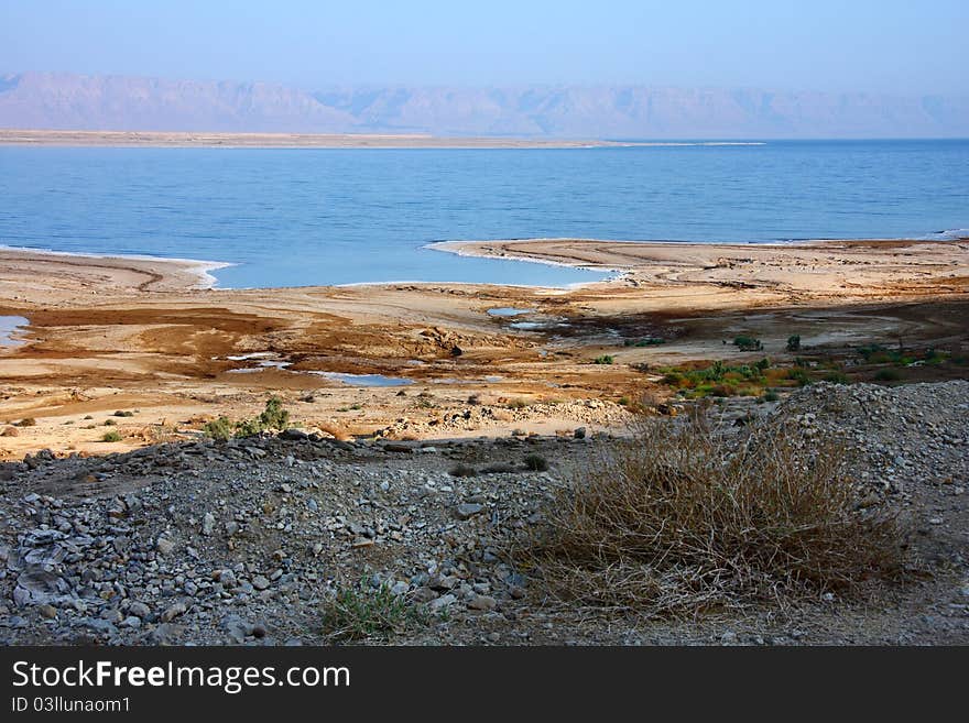 Dead Sea Coast