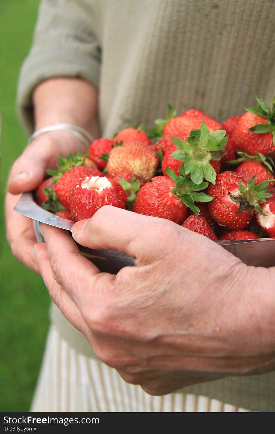 Hold on the sweet red strawberries are coming and just freshly picked too. Hold on the sweet red strawberries are coming and just freshly picked too