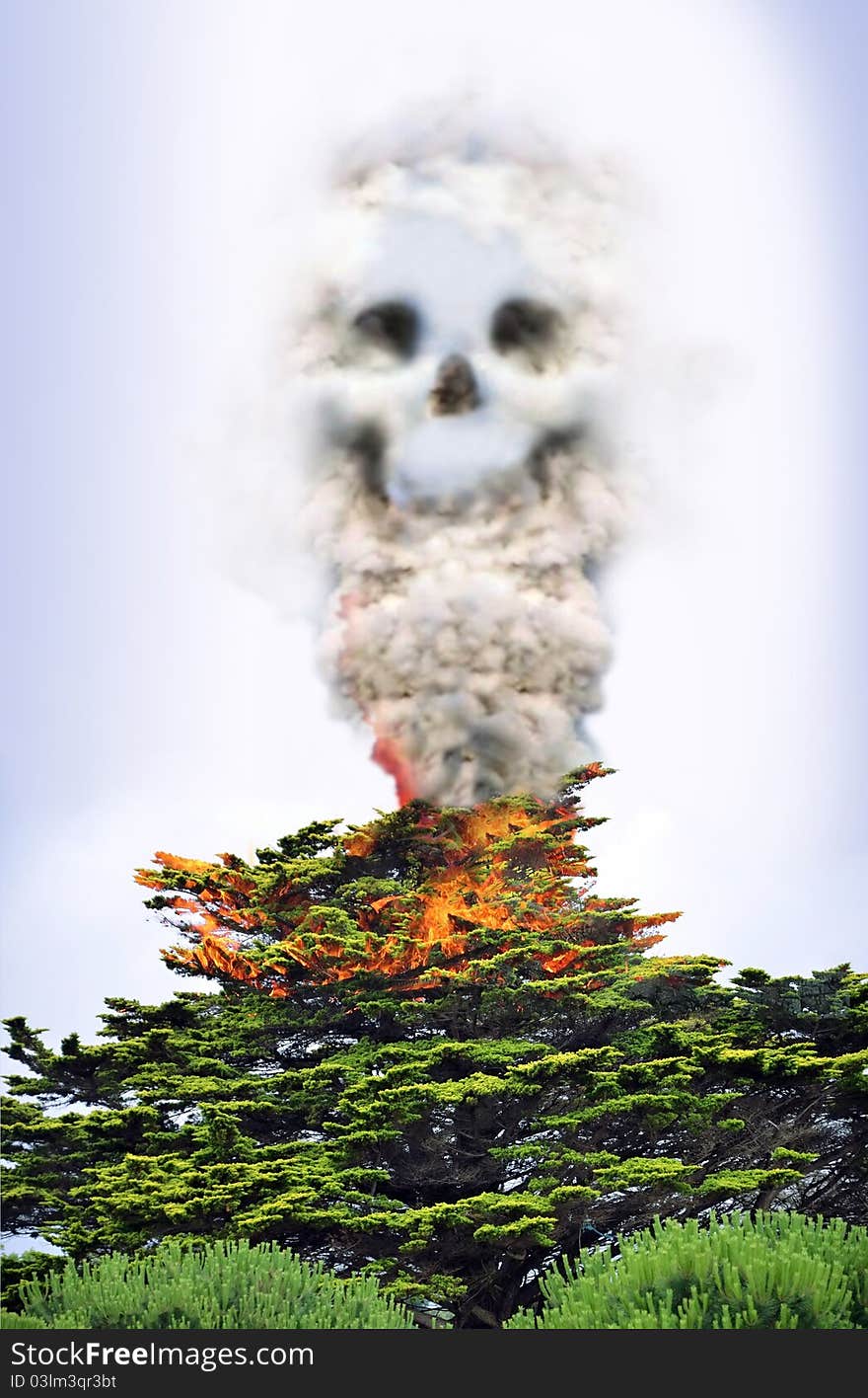 Abstract presentation which symbolizes the decay and the death of the environnment caused by forest fires. The smoke coming from a burning tree becomes like a skull. Abstract presentation which symbolizes the decay and the death of the environnment caused by forest fires. The smoke coming from a burning tree becomes like a skull.