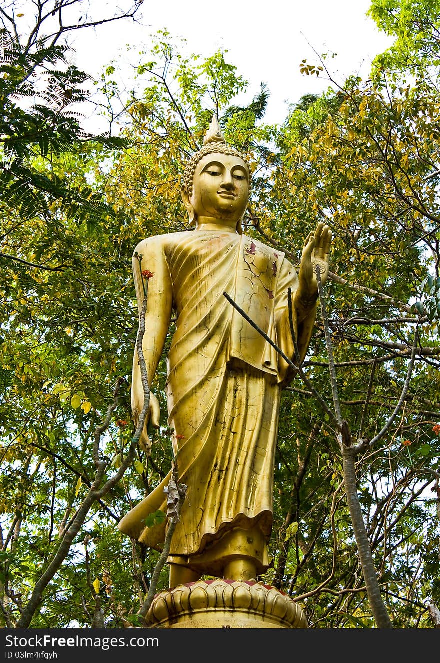 Image Buddha In The Forest