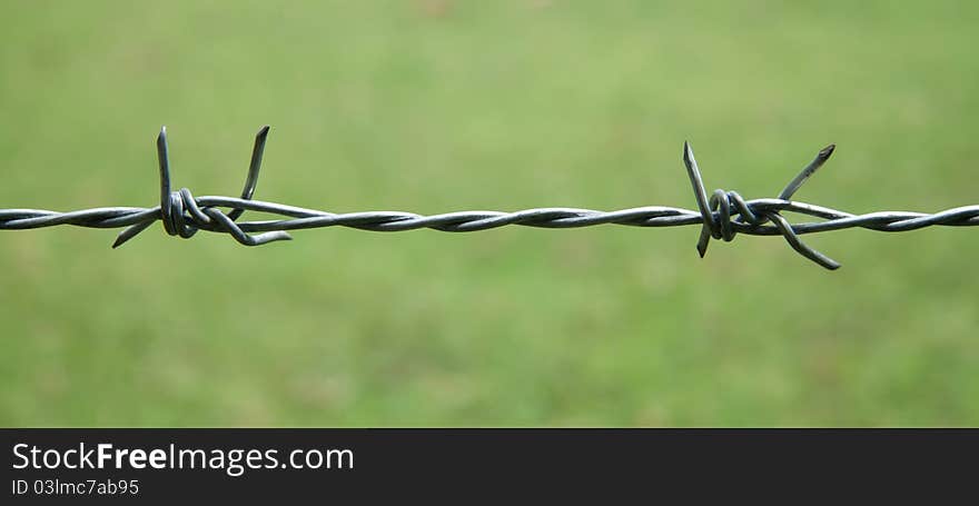 Barbed wire on green background. Barbed wire on green background.