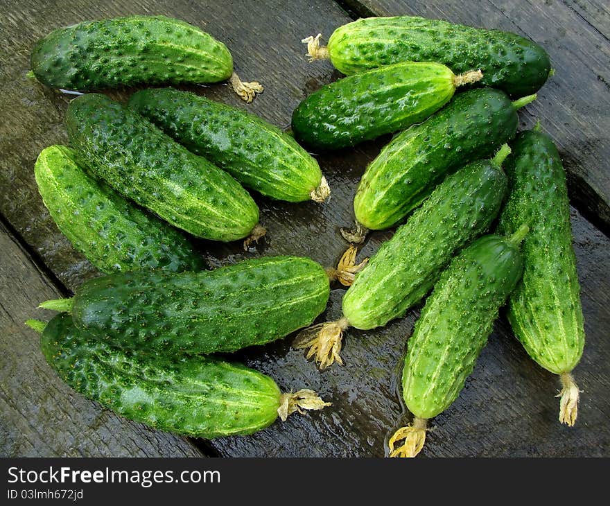 Cucumbers