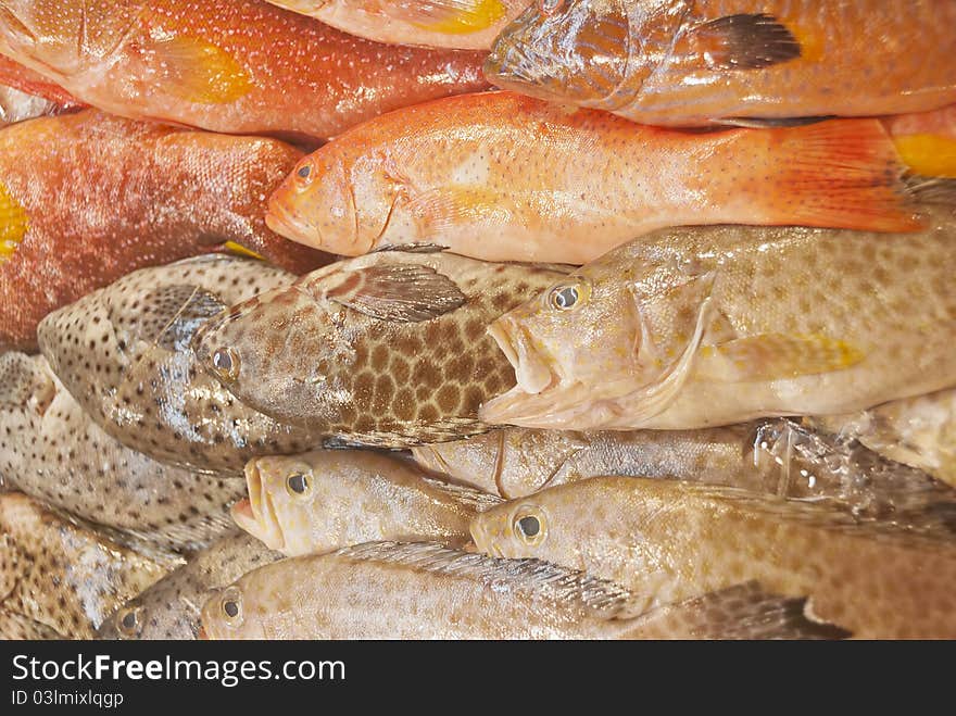 Various sea fish in Philippine wet market