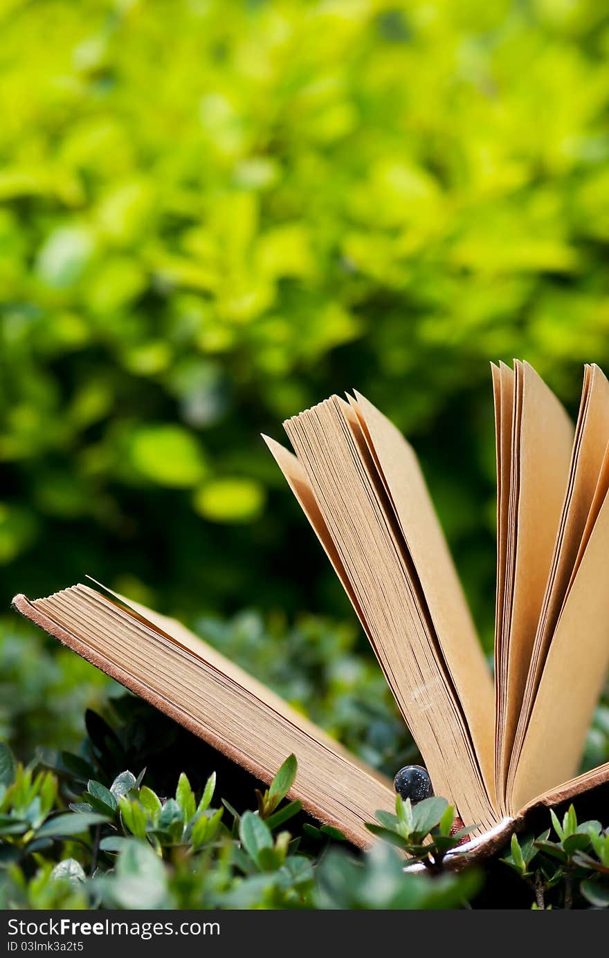 Green leaves and book