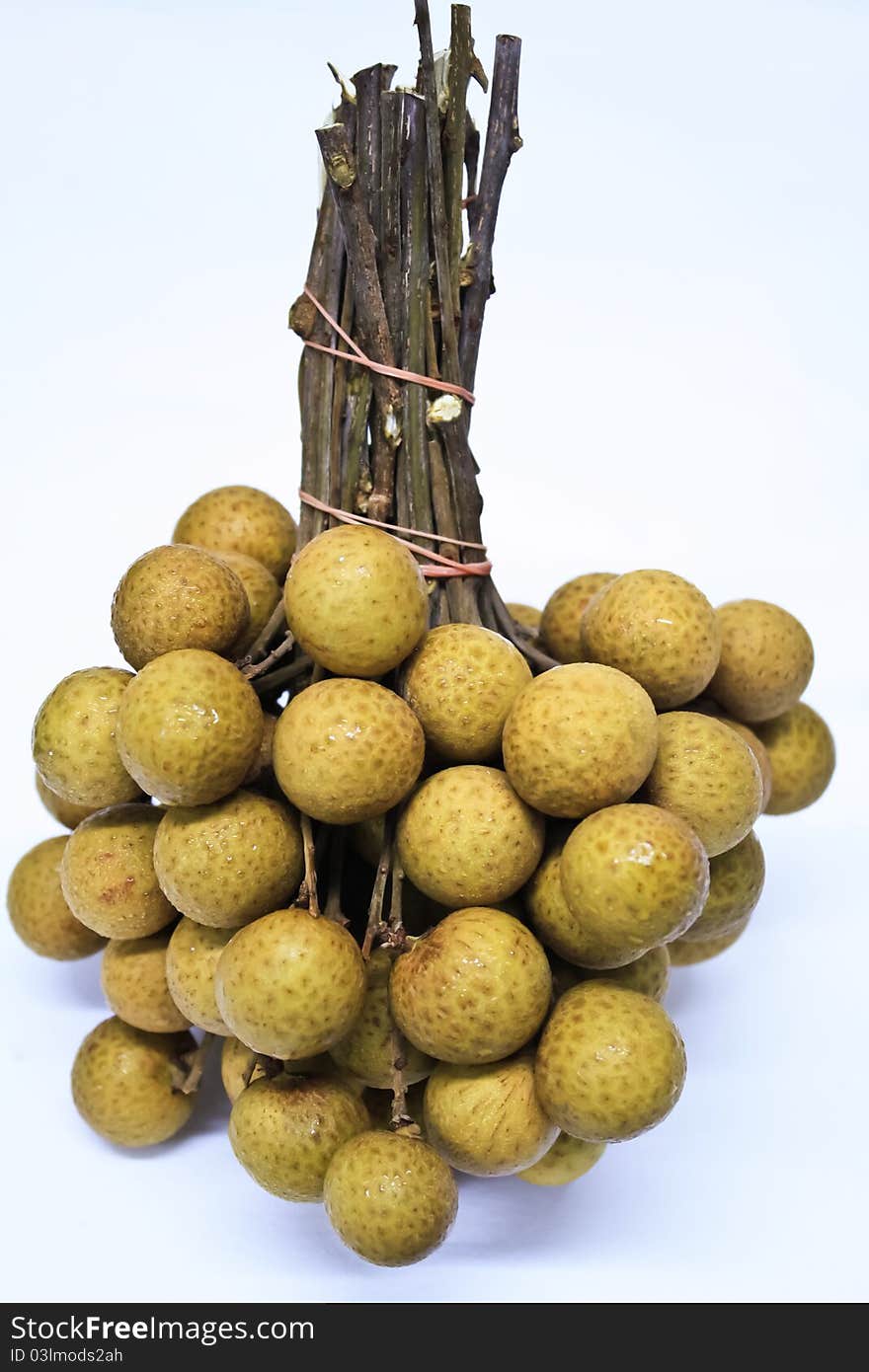 Brown Longan 1