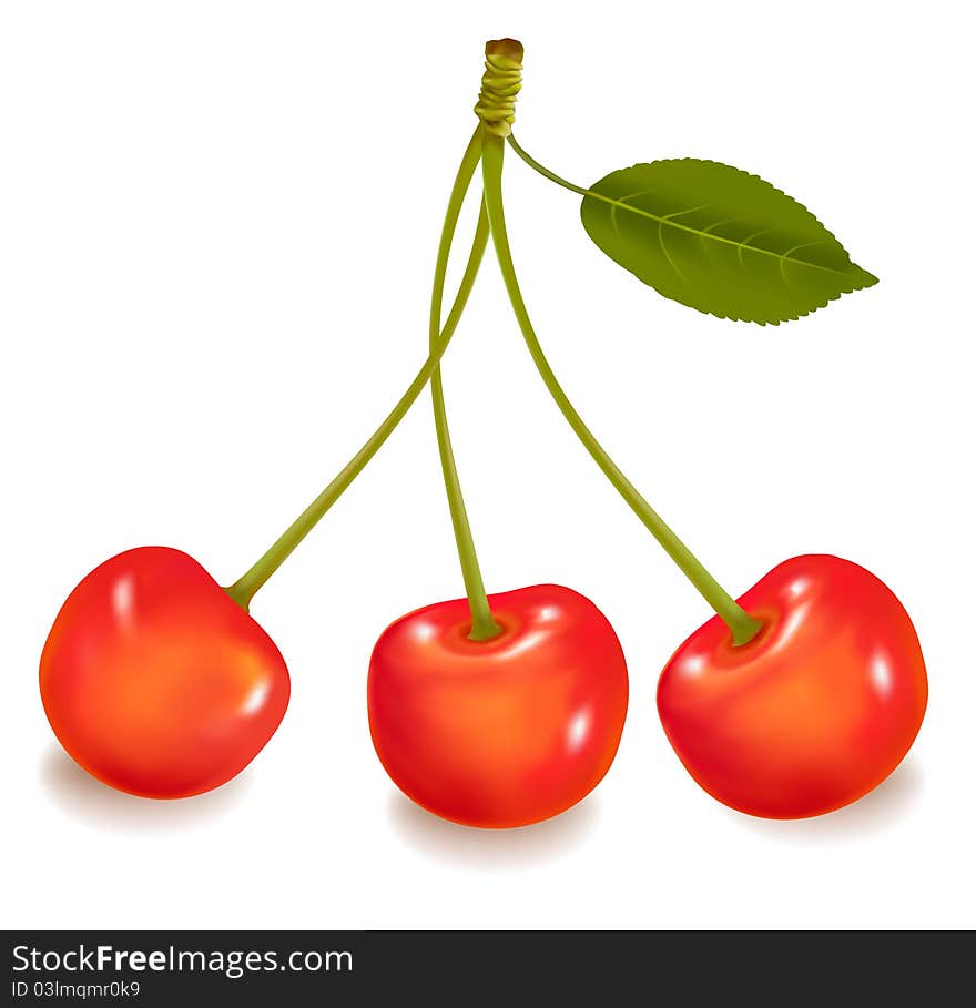 Vector. Three cherries with leaf isolated on a white background. Vector. Three cherries with leaf isolated on a white background.