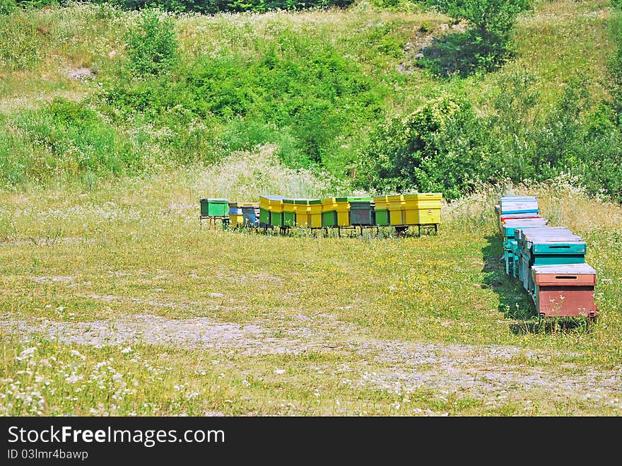 Large many bee hive on a field