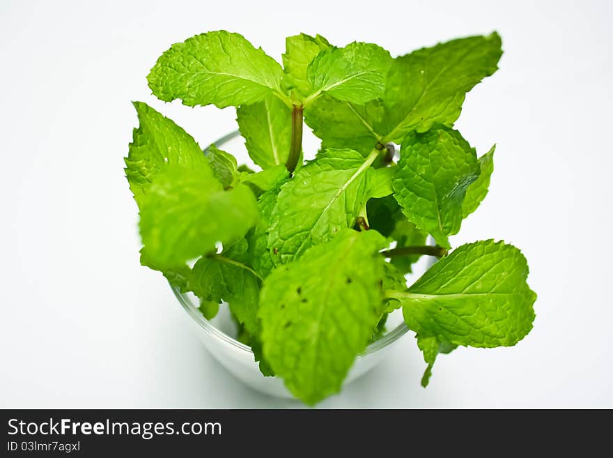 Fresh mint in glass