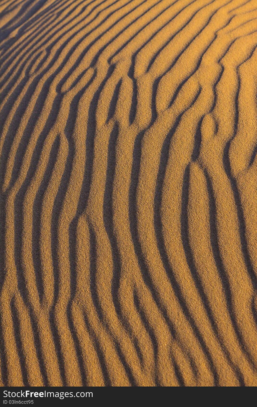 Ripples in the sand in close up