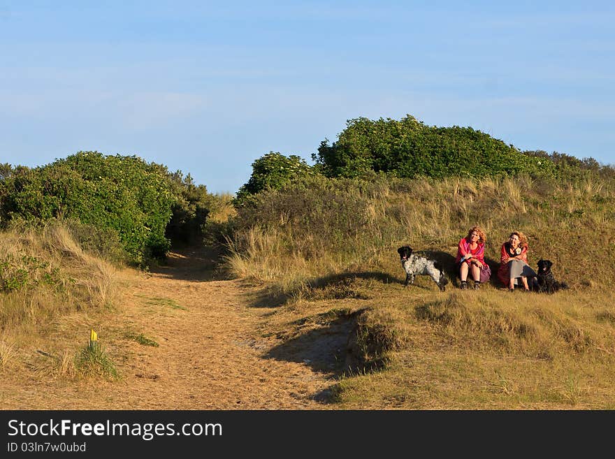 Women with dogs sitting in the dunes on a sunny day