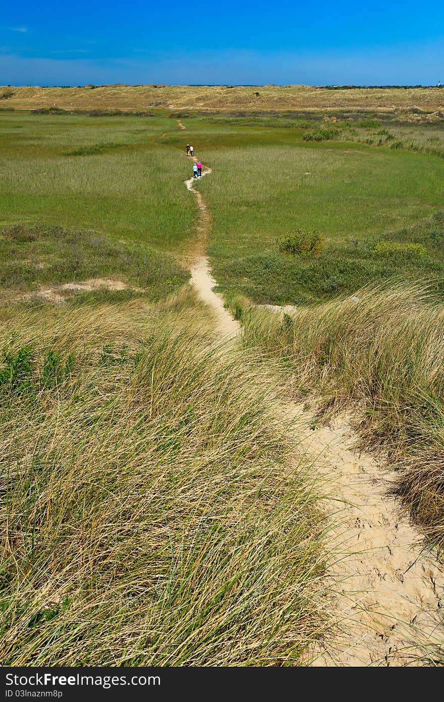 Sand dunes with helmet grass