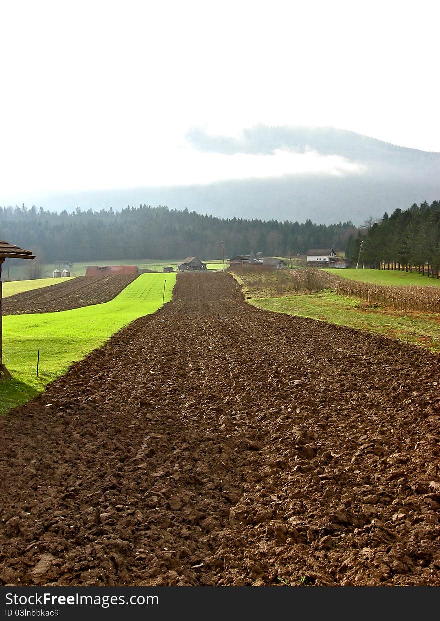 A country landscape with cultivated lands. A country landscape with cultivated lands.