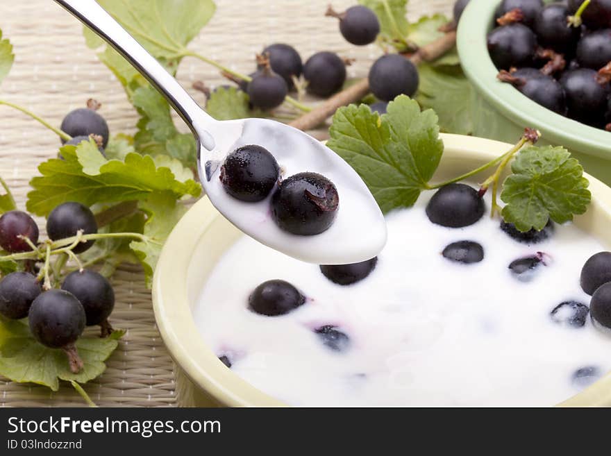 Studio-shot of a healthy dessert with jostaberries and plain yogurt. Jostaberry is a cross between the blackcurrant and the gooseberry