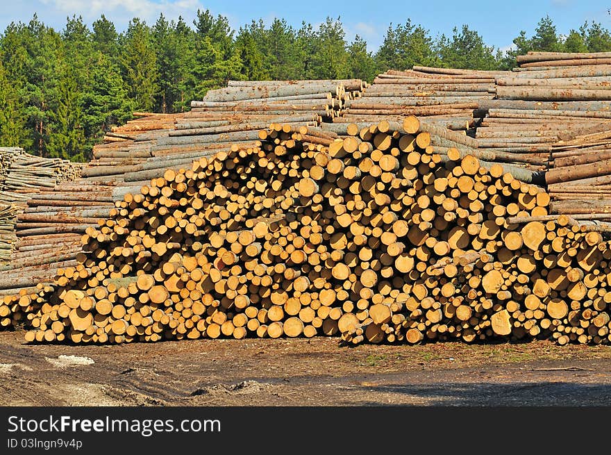 Heap of timber to foliage backgraund