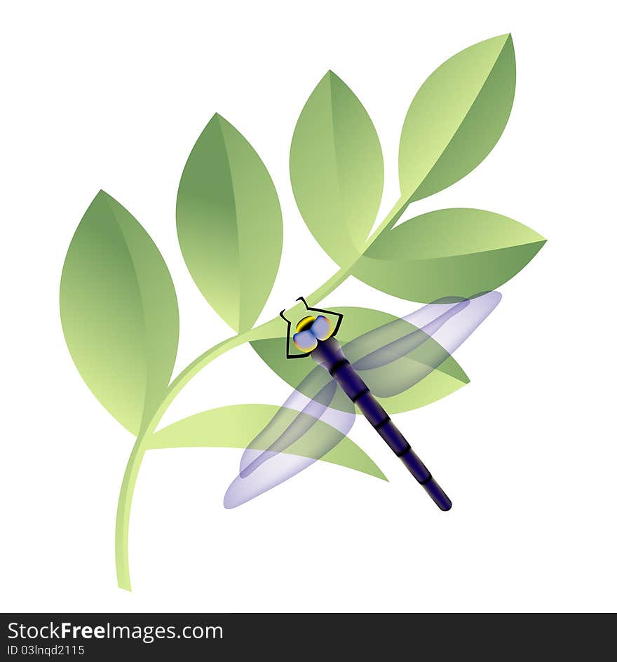 An illustration of dragonfly on leaves