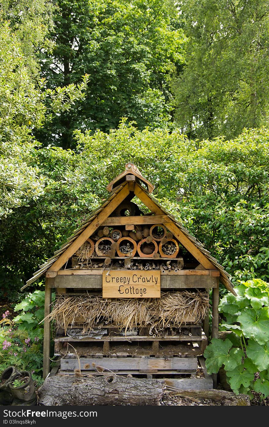 An insect and bug haven in a nature reserve. An insect and bug haven in a nature reserve