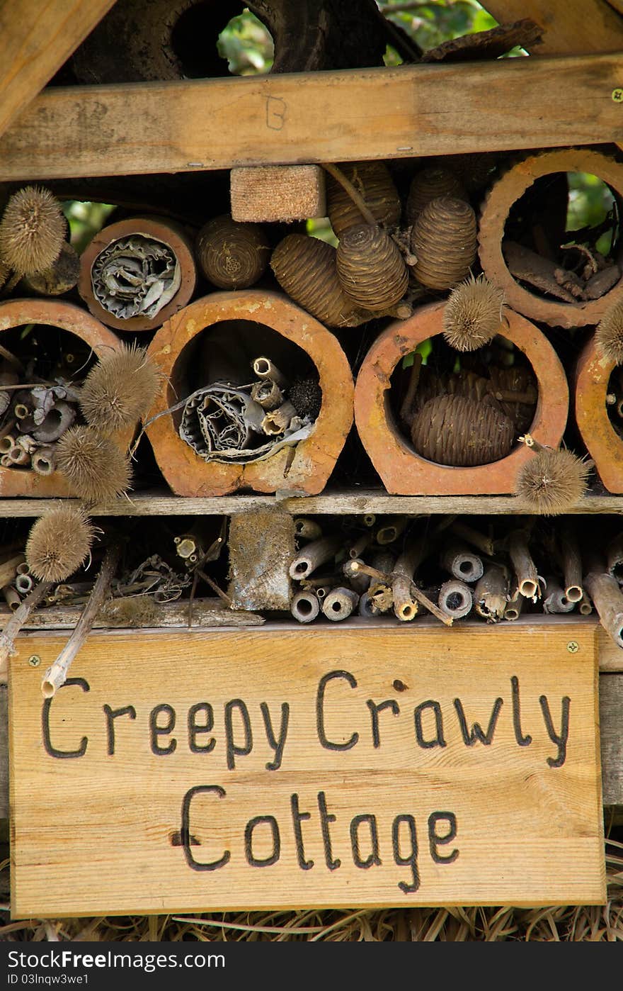 An insect and bug haven in a nature reserve. An insect and bug haven in a nature reserve