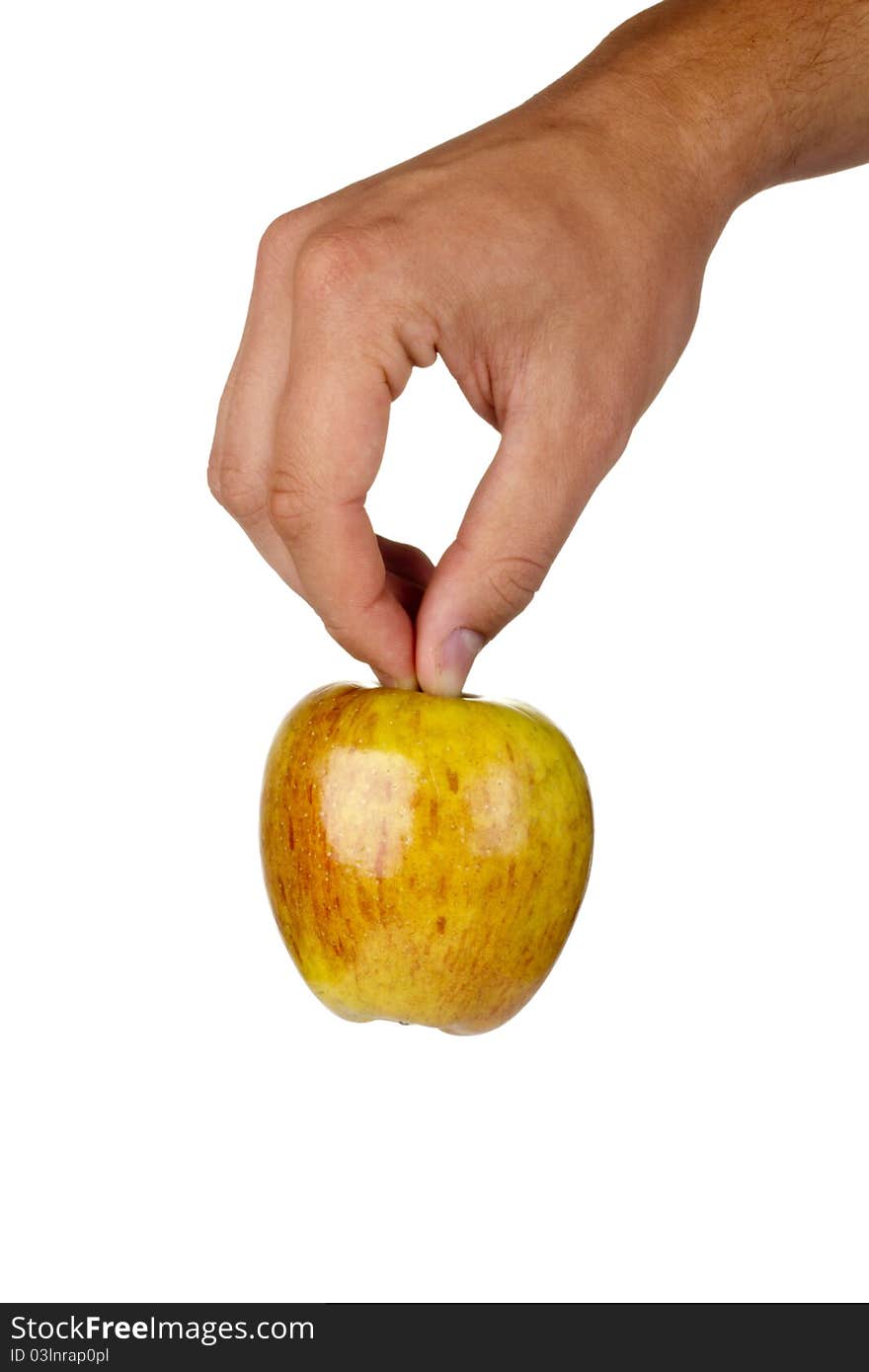 Fuji apple in a hand isolated on a white background.