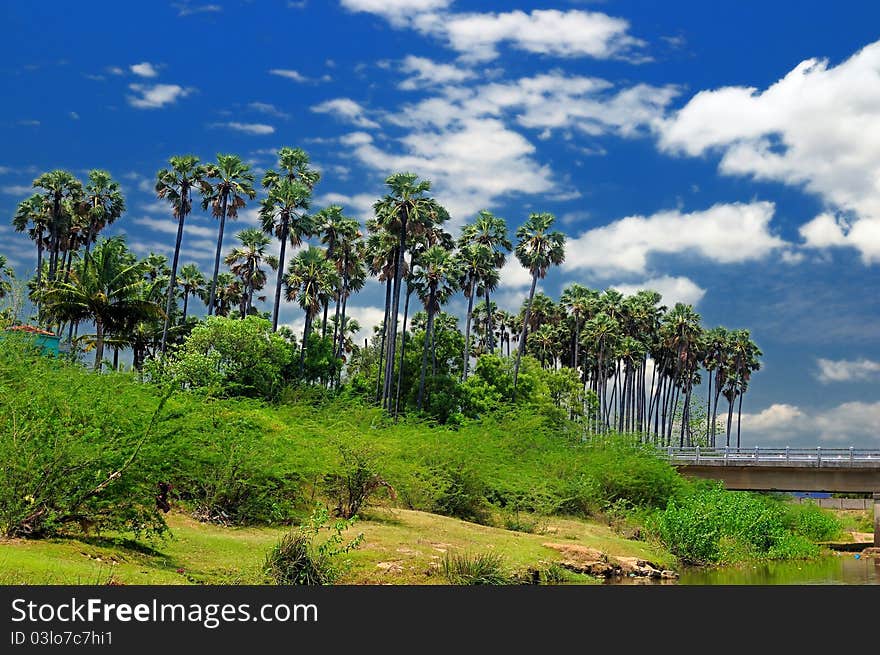 Western ghats in India with thick vegetation. Western ghats in India with thick vegetation