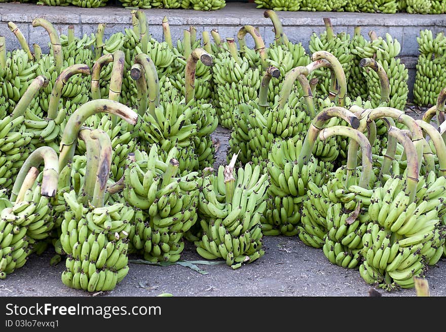 Fresh bananas ready for sale at a local market