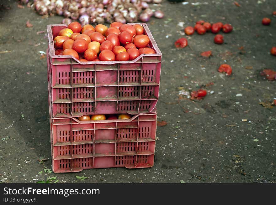 Garden Fresh tomatoes ready for sale at a local market