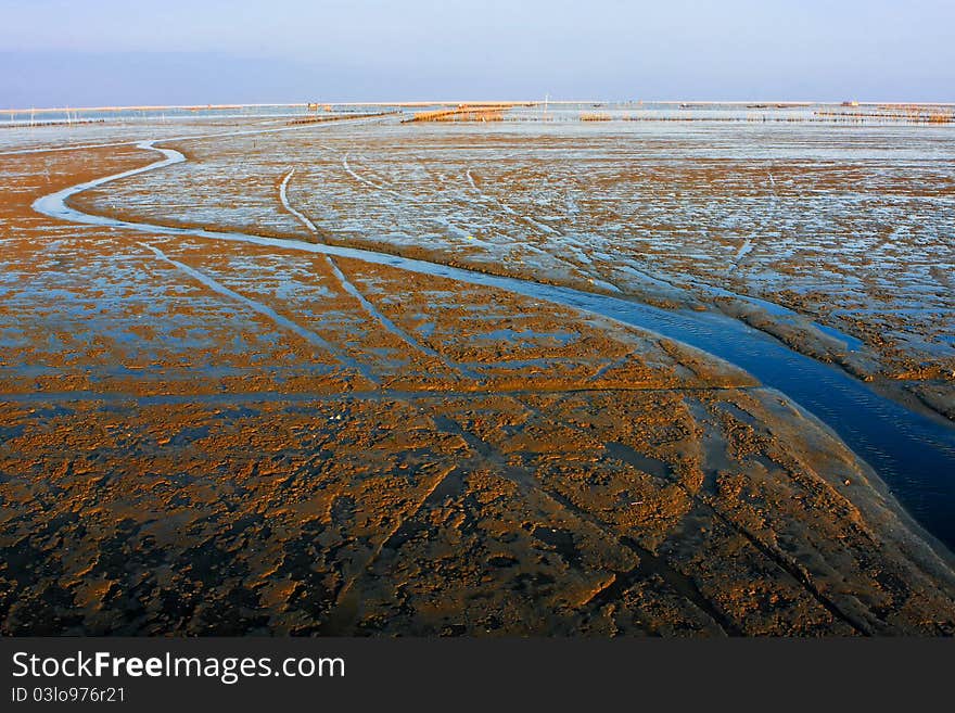 Sea at low tide.