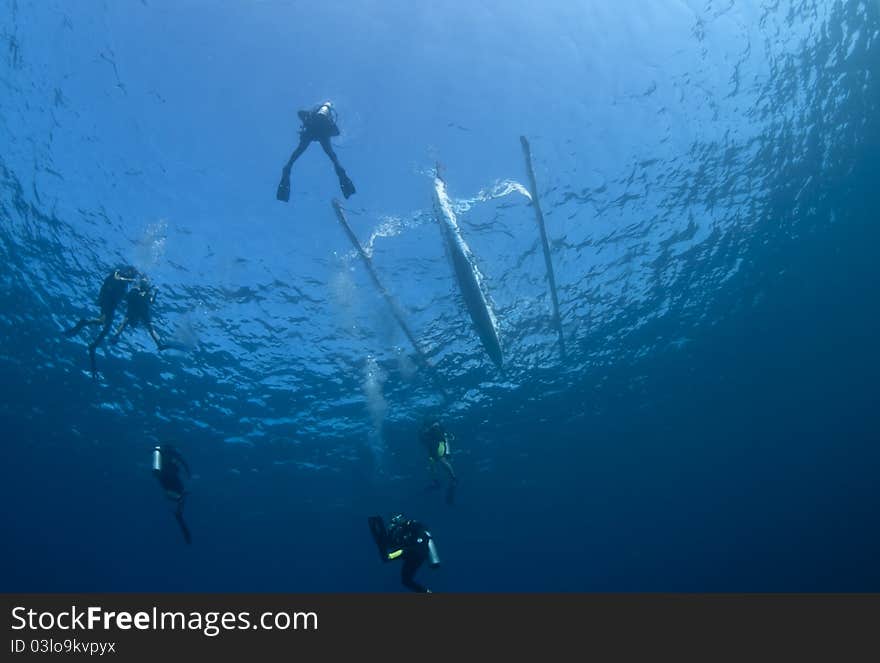 Group of divers descending from an outrigger boat at Bali, Indonesia