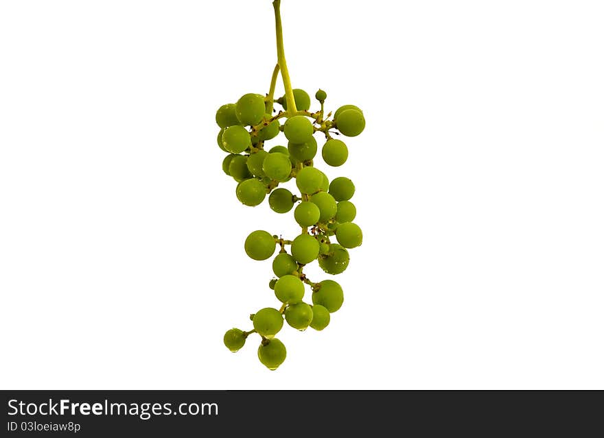 Cluster of green grape isolated on white