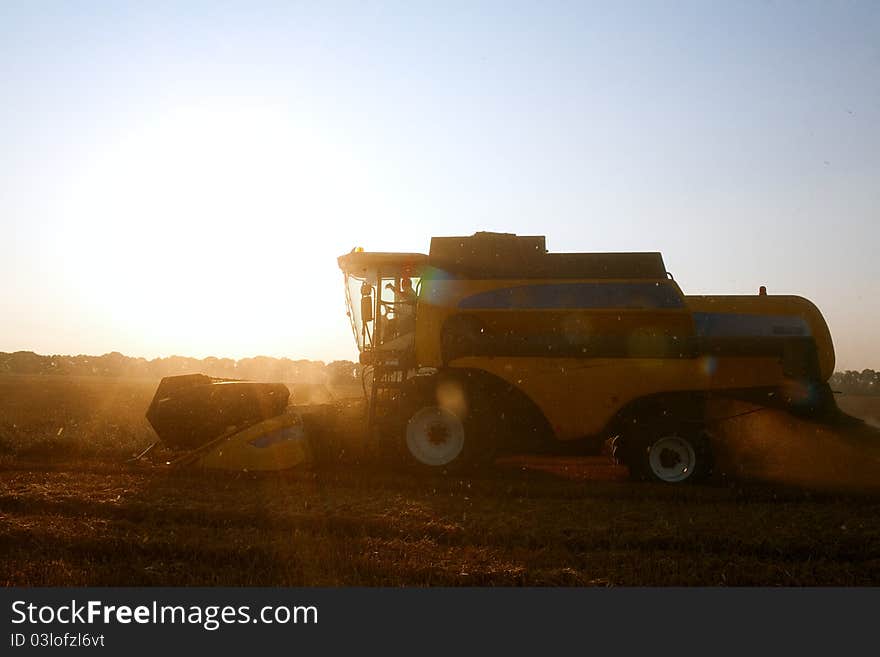 Combine harvester in field wheat