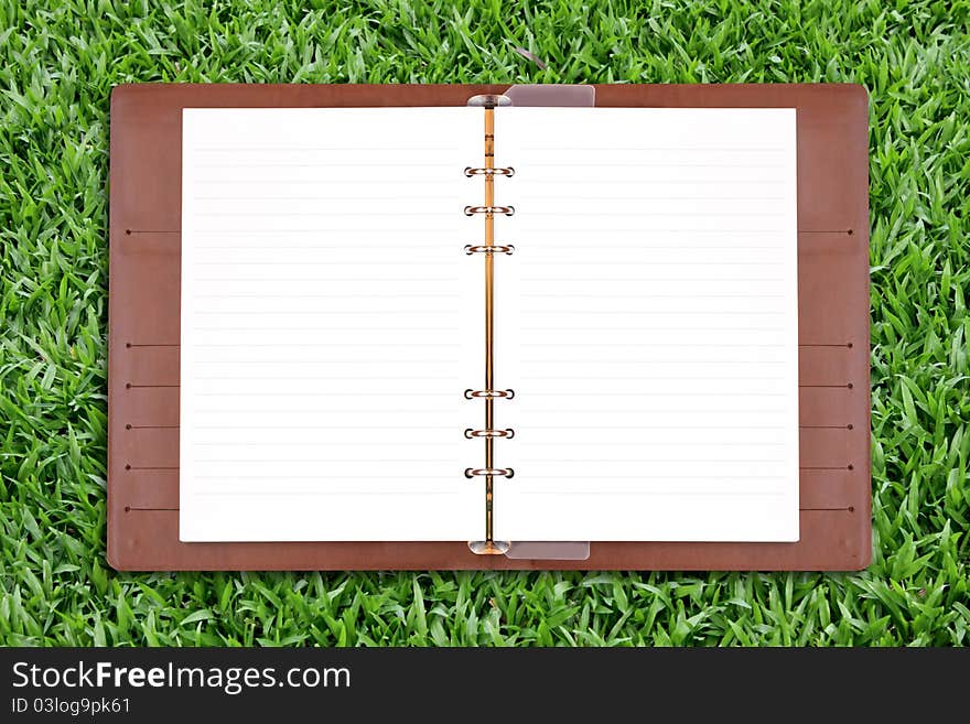 Open diary on green grass background