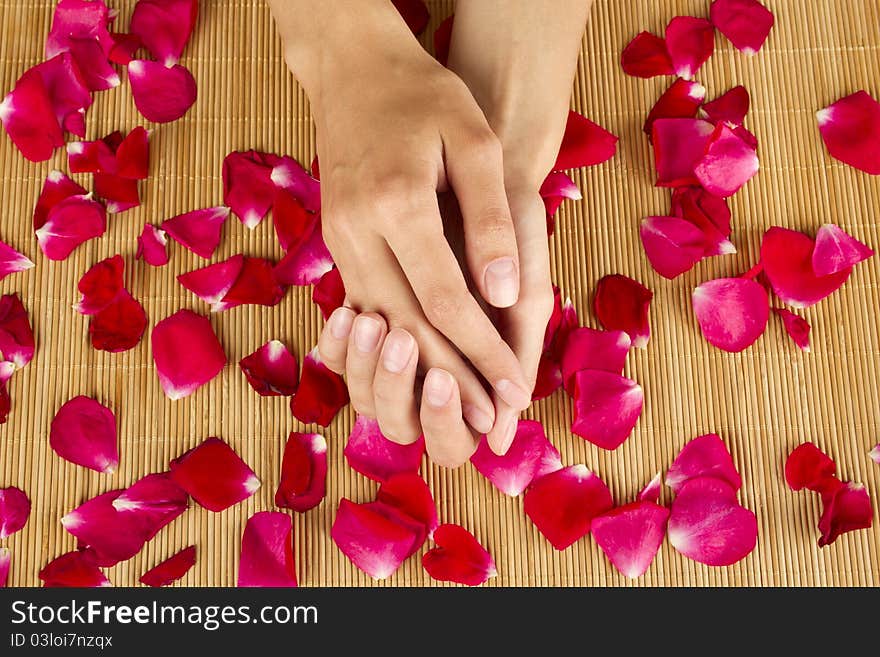 Close-up of hands are on red rose petals. Close-up of hands are on red rose petals