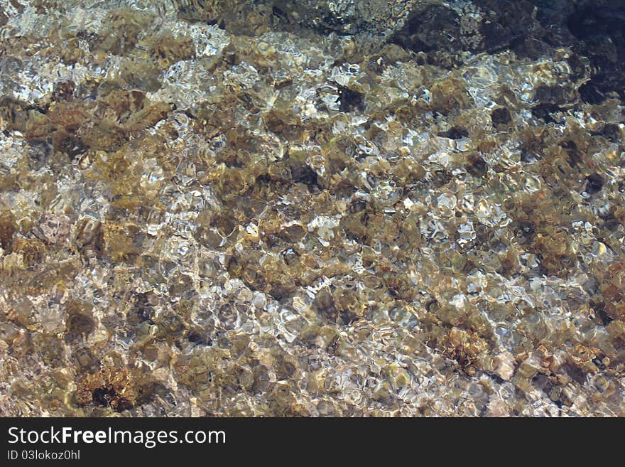 Tropical Waters in The Bahamas