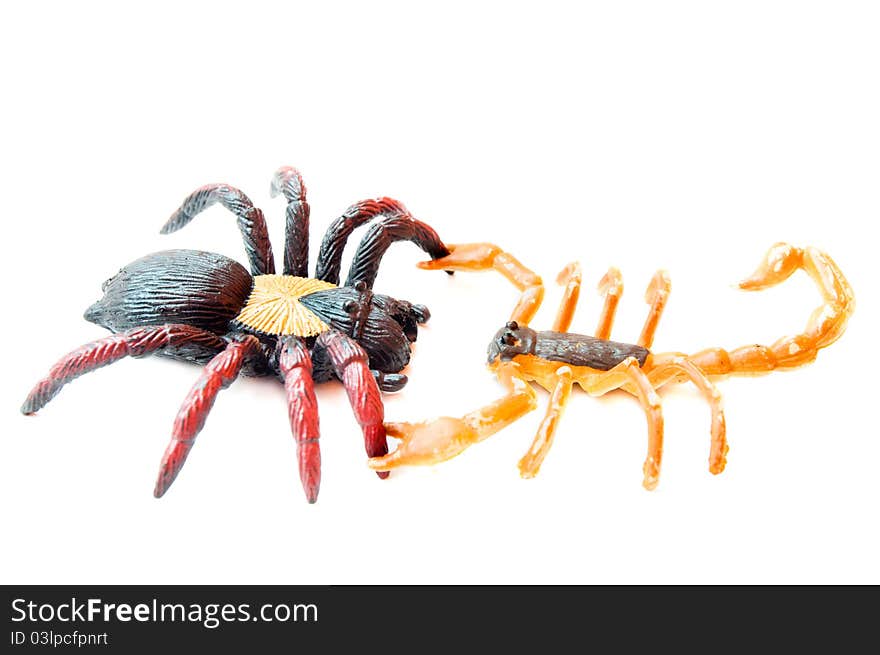 Scorpion fights spider